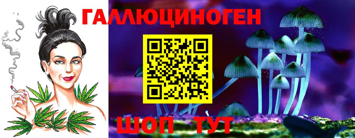 Галлюциногенные грибы прущие грибы  Вход с VPN  Кольчугино 