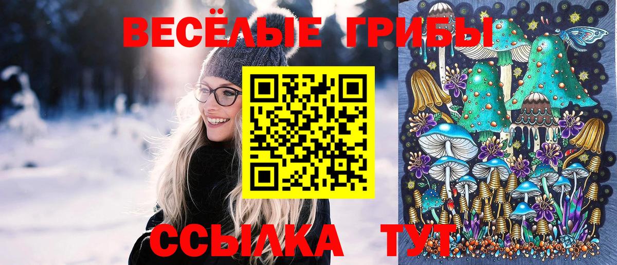 Галлюциногенные грибы MAGIC MUSHROOMS Кольчугино